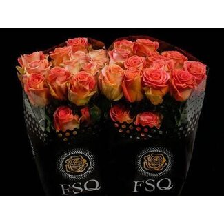 Freshy Large-flowered Rose “Grandiose” | Colour: Mixed Colours | Length ± 40 centimetre | Origin Ecuador | Per 20 fresh roses