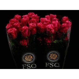 Freshy Grootbloemige Roos “Cherry O !” | Kleur: Roze | Lengte ± 40 centimeter | Herkomst Ecuador | Per 20 verse rozen