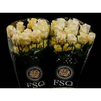 Freshy Large-flowered Rose “Creme De La Creme” | Colour: Orange | Length ± 40 centimeter | Origin Ecuador | Per 20 fresh roses