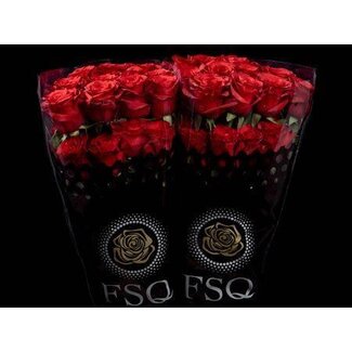 Freshy Large-flowered Rose “Mamma Mia” | Colour: Red | Length ± 50 centimeter | Origin Ecuador | Per 20 fresh roses