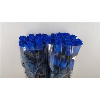 Freshy Roses “Mondial Blue” maat LL | Colour: Blue | Length ± 70 centimetre | Per 25 roses