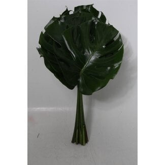 Freshy Monstera Gatenplant “Impatiens” | Kleur: Groen | Diameter 27 centimeter | Lengte ± 55 centimeter | Per 10 verse stelen