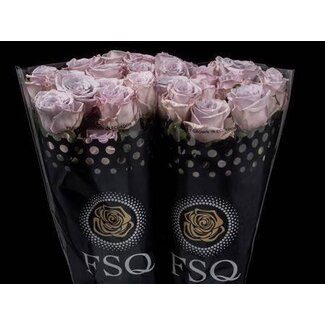 Freshy Large-flowered Rose “Arya” | Colour: Lilac | Length ± 60 centimeter | Origin Ecuador | Per 20 fresh roses