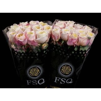 Freshy Rose à grandes fleurs “Fatima Garden” | Couleur: Couleurs mélangées | Longueur ± 60 centimeter | Origine Équateur | Par 20 roses fraîches