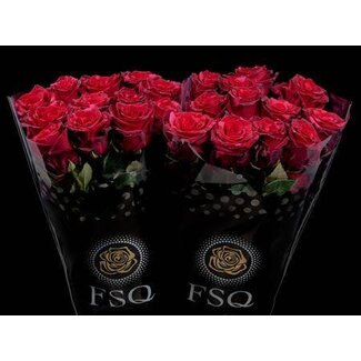 Freshy Grootbloemige Rozen “Red Panther” | Kleur: Rood | Lengte ± 50 centimeter | Herkomst Ecuador | Per 20 verse rozen