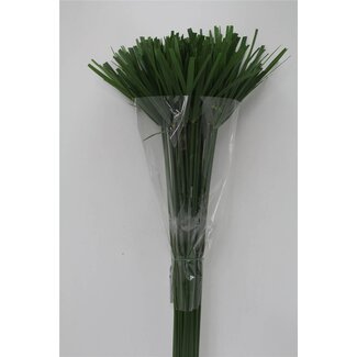 Freshy Cyperus Papyrus Plante parapluie | Couleur: Vert | Longueur ± 100 centimeter | Par 10 tiges de fleurs fraîches