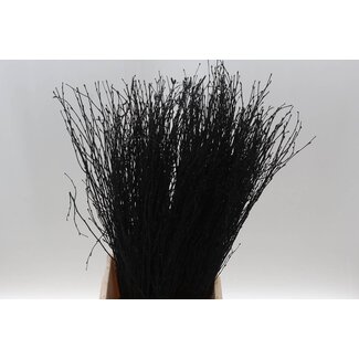 Freshy Birch branches | Colour: Black | Length ± 60 centimetres | Per 5 branches