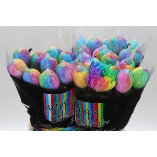 Freshy Deco Chrysanthemum Chrysanthemum “Antonov” Colour-treated | Colour: Mixed Colours | Length ± 65 centimetre | Per 10 fresh flowers