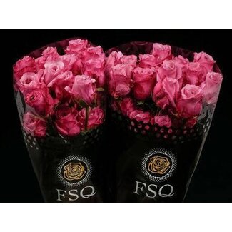 Freshy Rose à grandes fleurs “All 4 Love” | Couleur: Rose | Longueur ± 50 centimeter | Origine Ecuador | Par 20 roses fraîches