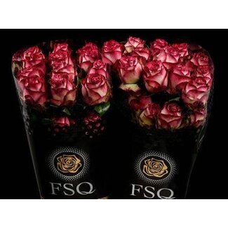 Freshy Large-flowered Rose “Absurda” | Colour: White Red | Length ± 50 centimetre | Origin Ecuador | Per 20 fresh roses