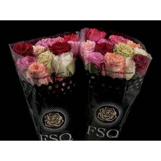 Freshy Large-flowered Rose “Garden Rainbow Mix” | Colour: Mixed Colours | Length ± 40 centimeter | Origin Ecuador | Per 20 fresh roses