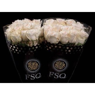 Freshy Large-flowered Rose “Fancy Dreams” | Colour: White Pink | Length ± 50 centimetre | Origin Ecuador | Per 20 fresh roses