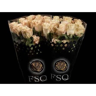 Freshy Rose à grandes fleurs “Bone” taille XL | Couleur: Couleurs mélangées | Longueur ± 50 centimeter | Origine Équateur | Par 20 roses fraîches