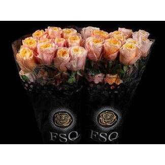Freshy Large-flowered Rose “Kings Cross” | Colour: Yellow Pink | Length ± 60 centimetre | Origin Ecuador | Per 20 fresh roses