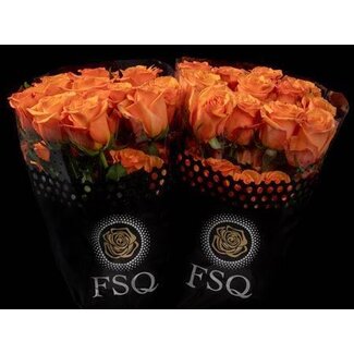 Freshy Large-flowered Rose “Joy” | Colour: Orange | Length ± 70 centimeter | Origin Ecuador | Per 20 fresh roses