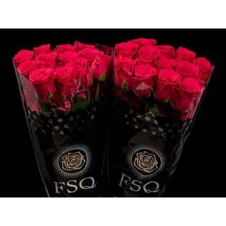 Freshy Large-flowered Rose “V.i.pink” | Colour: Pink | Length ± 50 centimetre | Origin Ecuador | Per 20 fresh roses