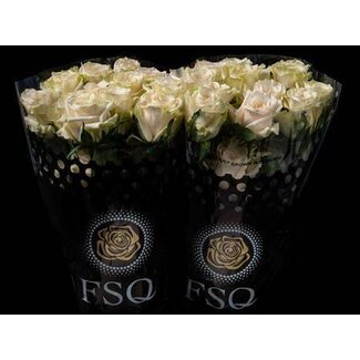 Freshy Large-flowered Rose “The Pearl” | Colour: Mixed Colours | Length ± 60 centimeter | Origin Ecuador | Per 20 fresh roses