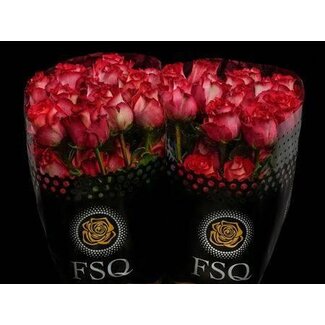 Freshy Large-flowered Rose “Iguazu” | Colour: Mixed Colours | Length ± 50 centimeter | Origin Ecuador | Per 20 fresh roses