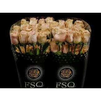 Freshy Rose à grandes fleurs “Quicksand” | Couleur: Rose | Longueur ± 60 centimeter | Origine Ecuador | Par 20 roses fraîches