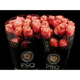 Freshy Rose à grandes fleurs “Kahala” XL | Couleur: Orange Rose | Longueur ± 60 centimeter | Origine Équateur | Par 25 roses fraîches