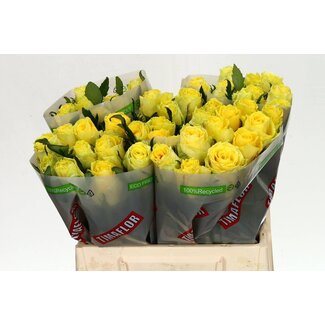 Freshy Roses “Good Times” | Couleur: Jaune | Longueur ± 40 centimeter | Par 20 roses