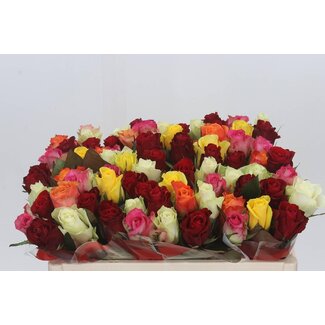 Freshy Bouquet Roses | Colour: Mixed Colours | Length ± 50 centimetre | Per 20 roses