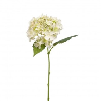 4A Hortensia Kunstbloemen | Kleur: Natuurlijk Wit | Lengte 50 centimeter | Per 4 kunstbloemen