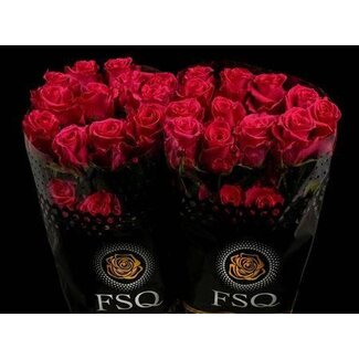 Freshy Rose à grandes fleurs “Gotcha” | Couleur: Rose | Longueur ± 70 centimeter | Origine Ecuador | Par 20 roses fraîches