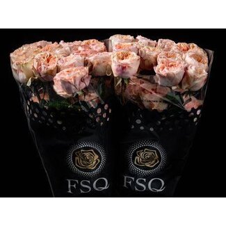 Freshy Large-flowered Rose “Tip Top” | Colour: Mixed Colours | Length ± 50 centimeter | Origin Ecuador | Per 20 fresh roses