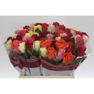 Freshy Bouquet Mixed Roses | Colour: Mixed Colours | Length ± 40 centimetre | 20 roses per bunch | Per bouquet