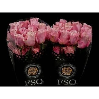 Freshy Large-flowered Rose “Secret Garden” | Colour: Pink | Length ± 70 centimetre | Origin Ecuador | Per 20 fresh roses