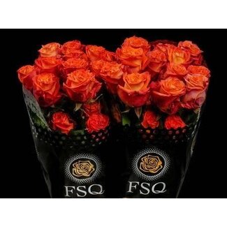 Freshy Large-flowered Rose “Careless Whisper” | Colour: Orange | Length ± 40 centimeter | Origin Ecuador | Per 20 fresh roses