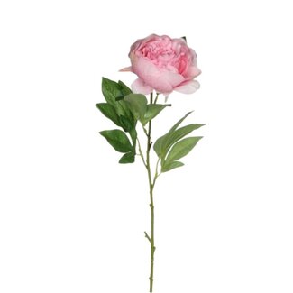 4A Pink Paeonia Artificial flower | Peony Artificial flowers | Length ± 76 centimetre | Per 12 artificial flowers