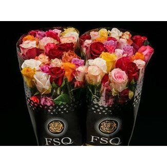 Freshy Large-flowered Rose “Seasons Mix” size XL | Colour: Mixed Colours | Length ± 70 centimetre | Origin Ecuador | Per 20 fresh roses
