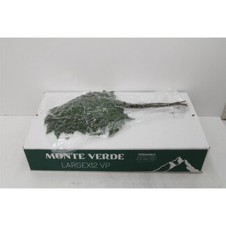 Freshy Rumohra Ledervaren Vacuumverpakt | Kleur: Groen | Lengte ± 50 centimeter | 35 takken per bos | Per 5 bossen