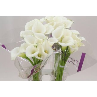 Freshy Zantedeschia Calla “White Art” | Couleur: Blanc | Longueur ± 80 centimeter | Par 10 fleurs fraîches