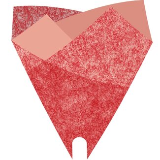 4A PCR Smartsleeve Hüllen “Louise” | Farbe: Rot | Länge 50 centimeter | Breite 44 centimeter | Pro 50 Hüllen