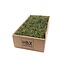 Tillandsia Moss Dry decoration | Colour: Green | Content 350 gram | Per box