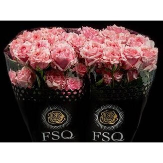 Freshy Roses “Flecos” | Colour: Pink | Length ± 50 centimetre | Per 20 roses