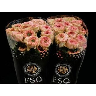 Freshy Roses “Charming Corneille” | Colour: Pink | Length ± 50 centimeter | Per 20 roses