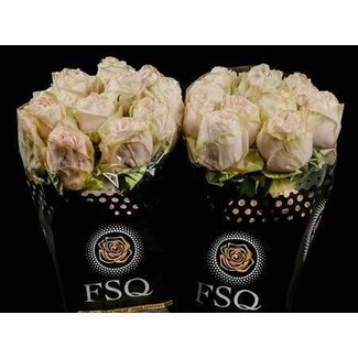 Freshy Roses “Wedding Spirit” | Colour: White Pink | Length ± 50 centimetre | Per 20 roses