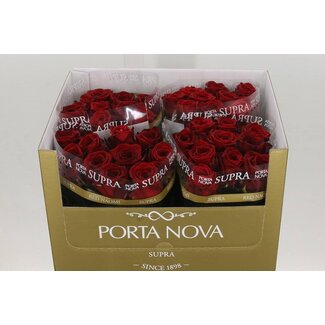 Freshy Rozen “Red Naomi Supra” | Kleur: Rood | Lengte ± 60 centimeter | Per 10 rozen