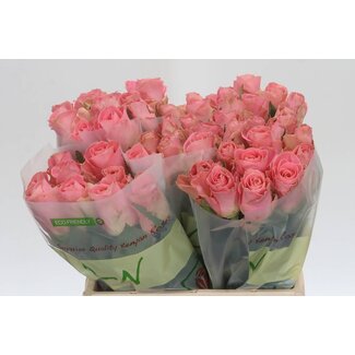 Freshy Roses “Hermosa” | Couleur: rose | Longueur ± 40 centimeter | Par 20 roses