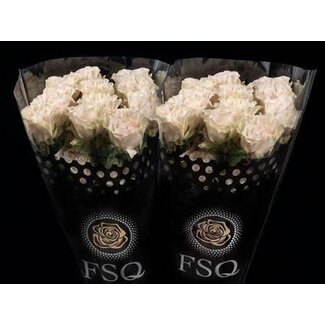 Freshy Large-flowered Rose “Cotton X-pression” | Colour: White Pink | Length ± 50 centimeter | Origin Ecuador | Per 20 fresh roses