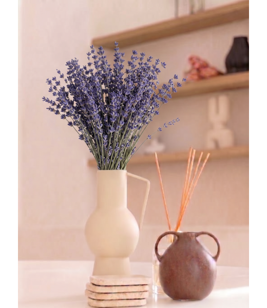 MyFlowers Natürlich violett-blaue Lavendel-Trockenblumen | Länge ± 50 cm | Gewicht ± 100 Gramm