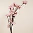 Kersenbloesem Kunstbloem | Kleur: Roze | Prunus kunstbloemen | Lengte ± 135 centimeter | Per kunstbloem