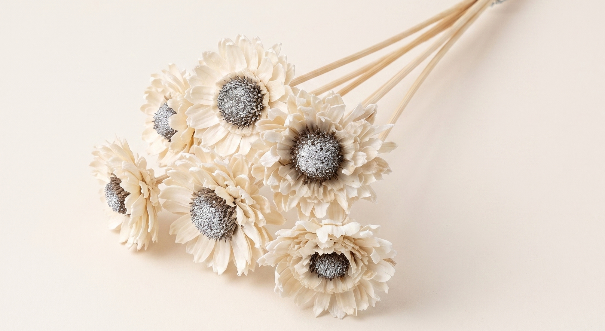 Daisy Sunflower (Shola): Sunny Natural Product for B2B | B2B Flowers