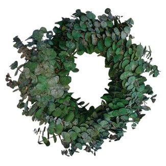 4A Preserved Krans d35cm Eucalyptus Baby