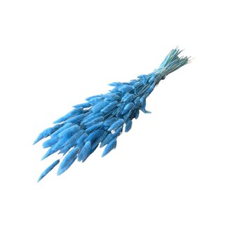 Casa Alegria Dried Lagurus | Colour: Light blue | Bunny tails dried flowers | Length ± 70 centimetre | Weight 100 gram | Per bunch