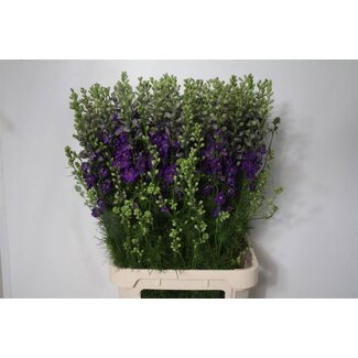 Freshy Consolida R Q Dark Blue